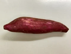 サツマイモの写真（撮影：grape編集部）
