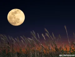 秋の夜空