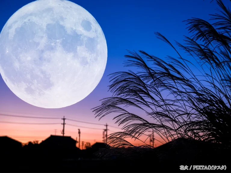 秋の空