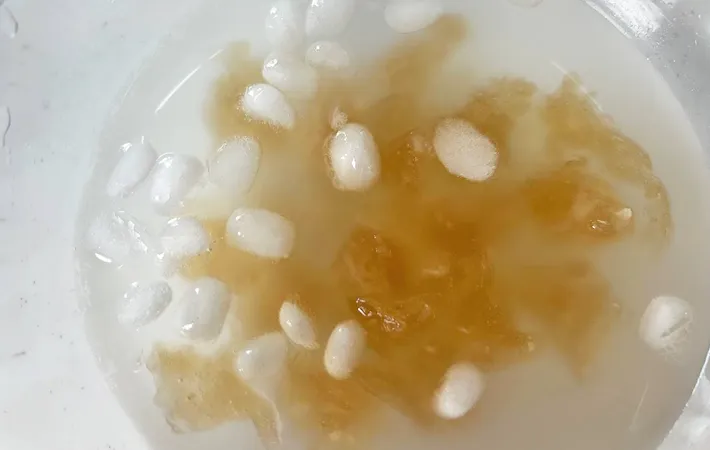 『麦茶でわらび餅』を作る写真（撮影：エニママ）