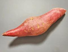 サツマイモの写真（撮影：エニママ）