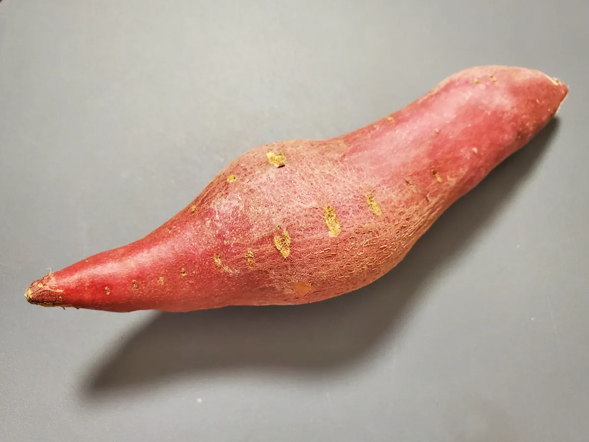 サツマイモの写真（撮影：エニママ）