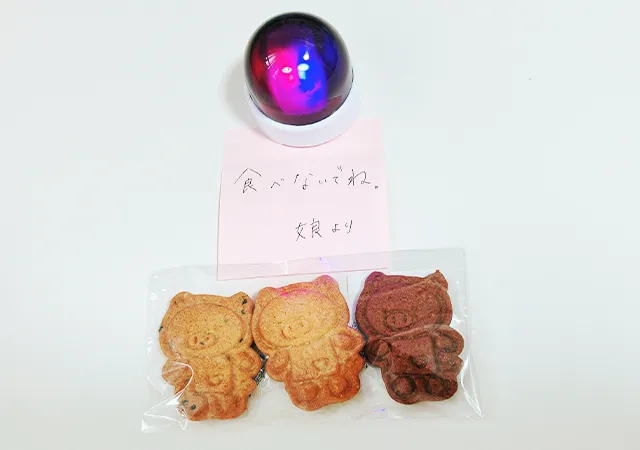 『なんちゃって防犯カメラ』（撮影：grape編集部）