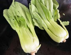 チンゲン菜の写真（撮影：grape編集部）