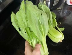チンゲン菜