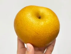 梨の写真（撮影：キジカク）