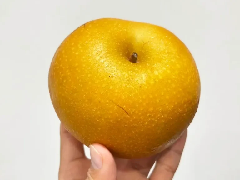 梨の写真(撮影:キジカク)