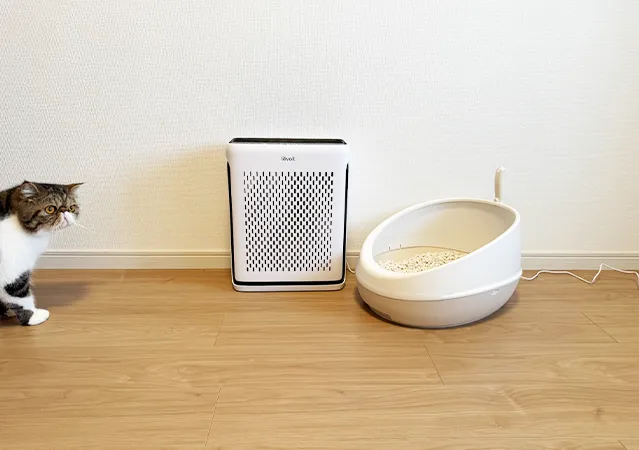 Levoit Vital 100S 空気清浄機の使用イメージ写真（撮影：grape編集部）