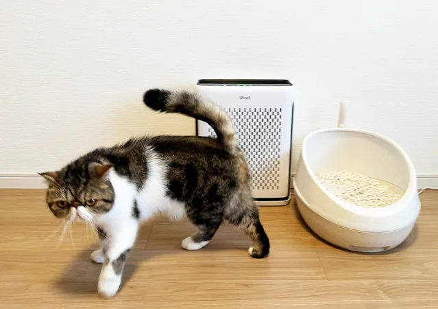 Levoit Vital 100S 空気清浄機の使用イメージ写真（撮影：grape編集部）