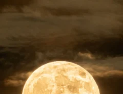 満月の画像