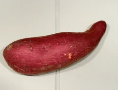 サツマイモの写真（撮影：grape編集部）