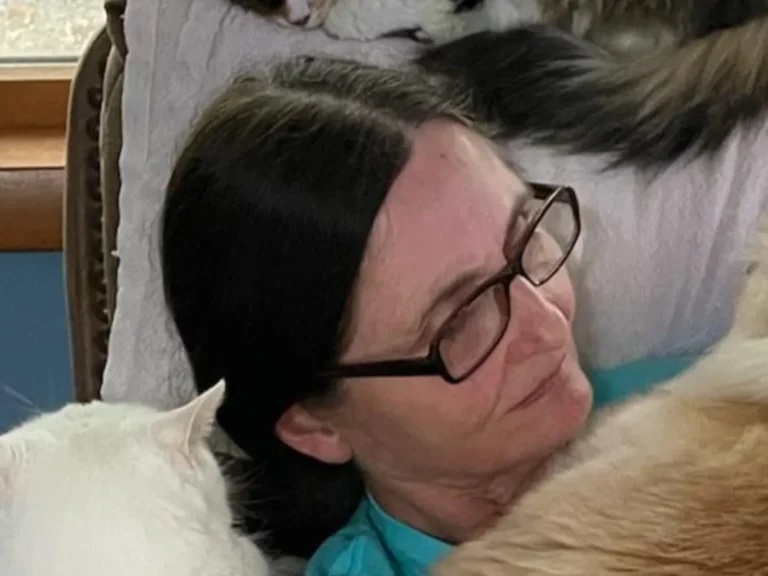 女性と猫の写真