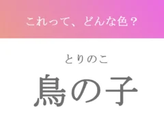 鳥の子の文字