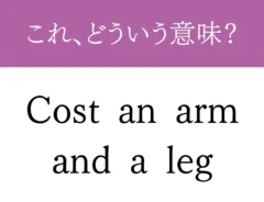 『Cost an arm and a leg』の文字の画像