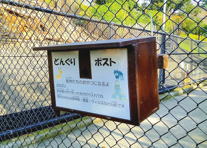 『どんぐりポスト』の写真