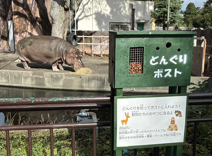 『どんぐりポスト』の写真