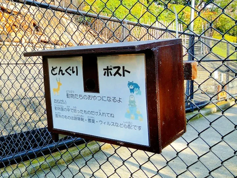 動物園の写真