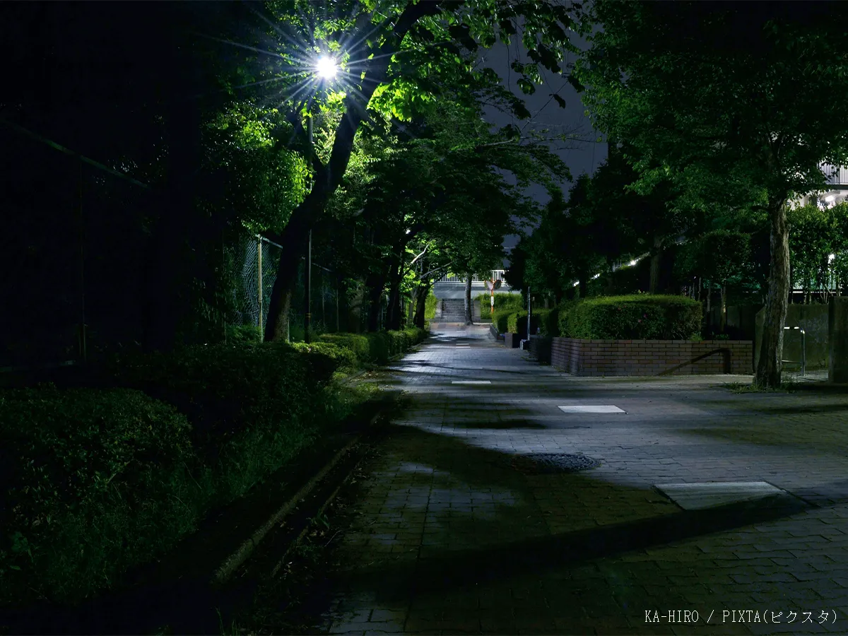 夜の公園の写真