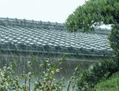 雨の日の屋根の写真
