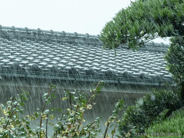 雨の日の屋根の写真