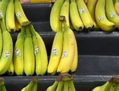 バナナの写真（撮影：grape編集部）
