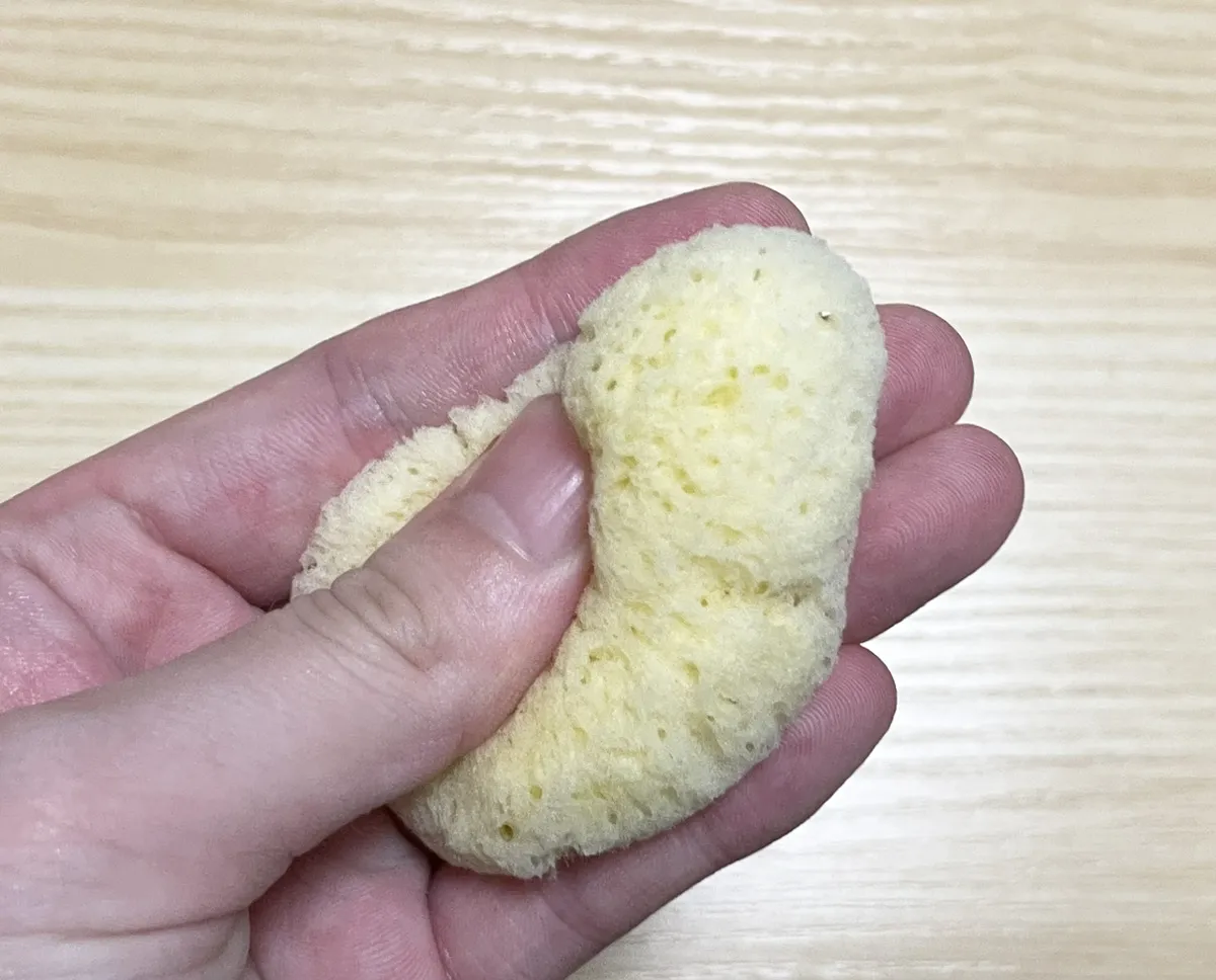 水を含んだ『天然海綿スポンジM』の写真（撮影：grape編集部）