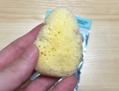 スポンジの写真（撮影：grape編集部）