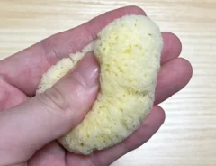 スポンジの写真（撮影：grape編集部）