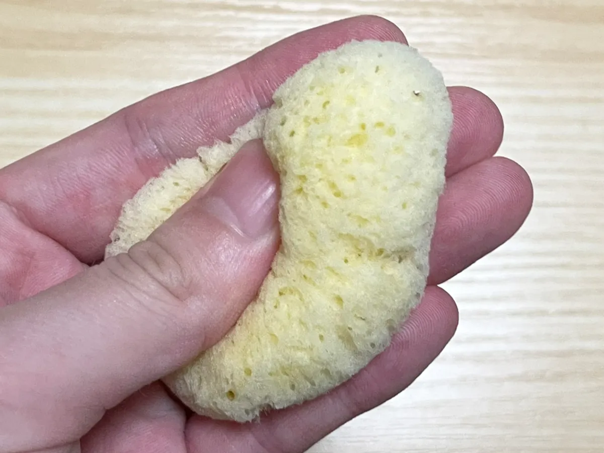 スポンジの写真(撮影:grape編集部)