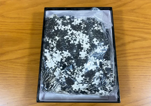 ダイソーの黒いパズル（撮影:grape編集部）