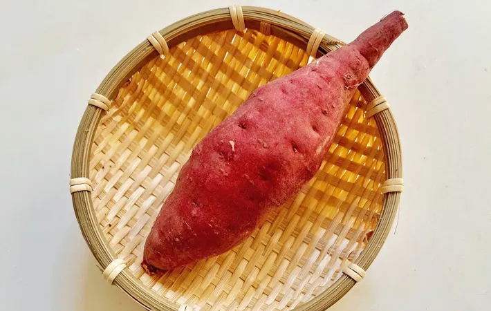 サツマイモの写真（撮影：エニママ）