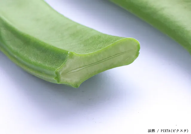 ナタ豆の写真