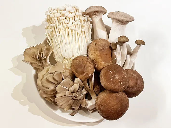 キノコの写真（撮影：grape編集部）