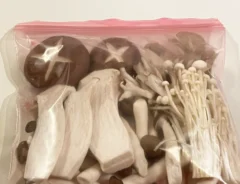 キノコの写真（撮影：grape編集部）