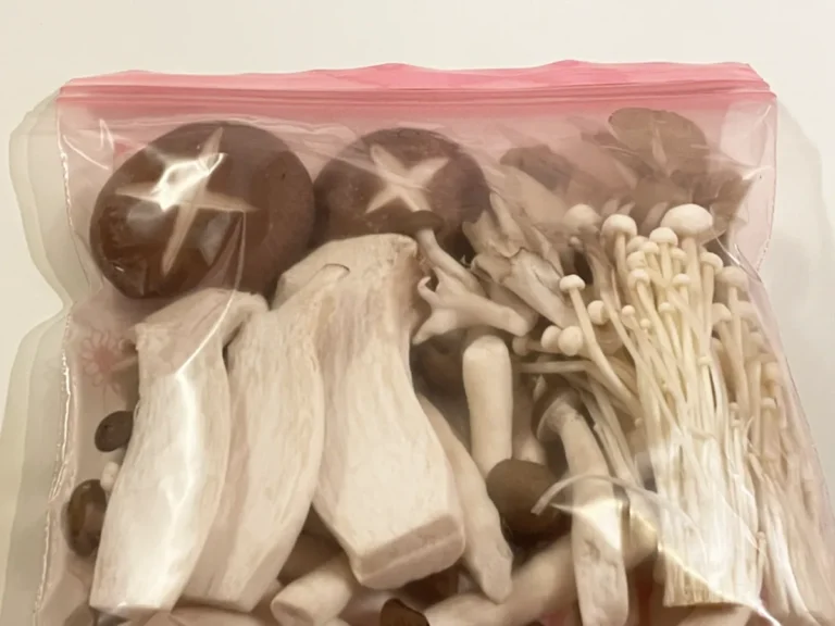 キノコの写真(撮影:grape編集部)