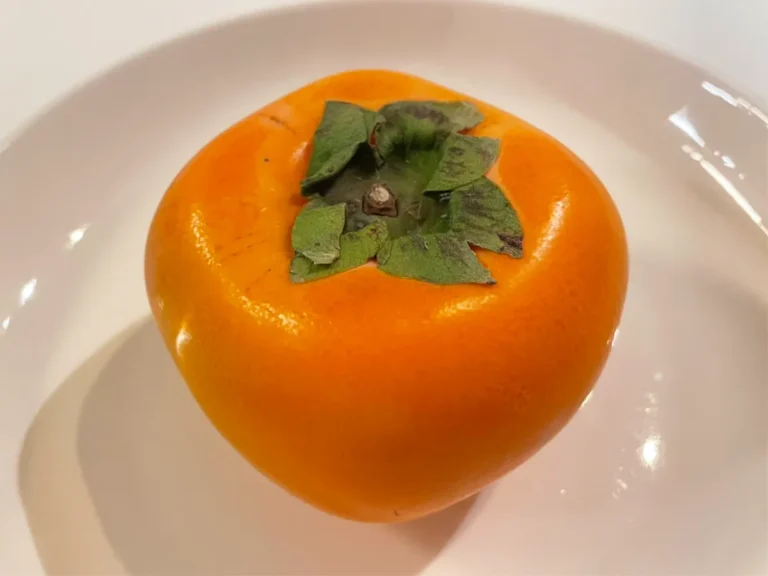 柿の写真（撮影：grape編集部）