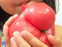 トマトの写真（撮影：エニママ）