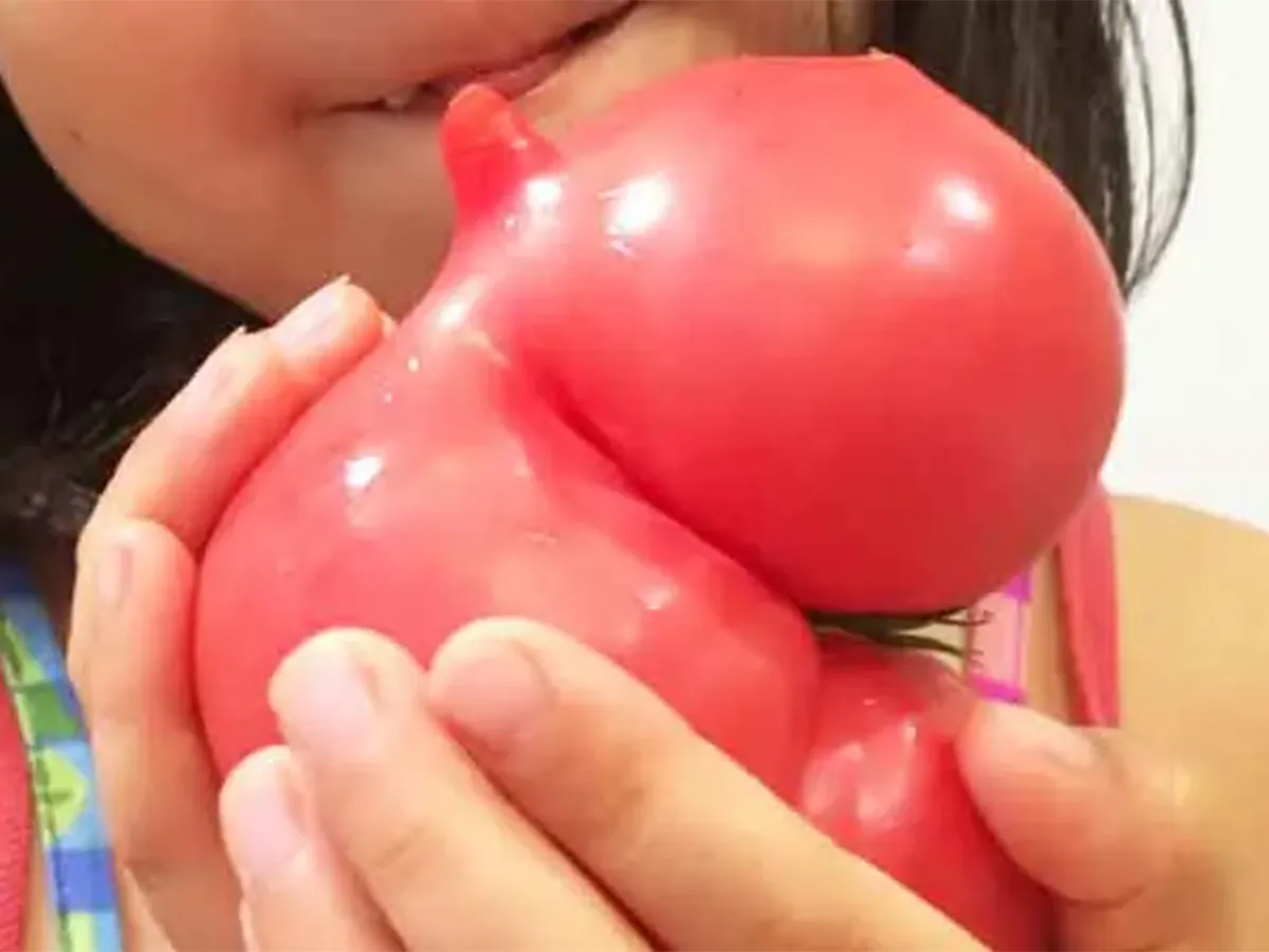 トマトの写真(撮影:エニママ)