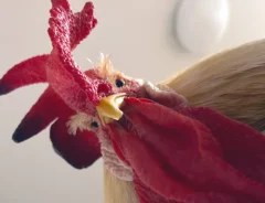 ニワトリの写真