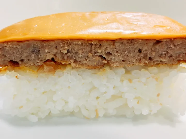 チーズハンバーグ寿司(撮影:grape編集部)