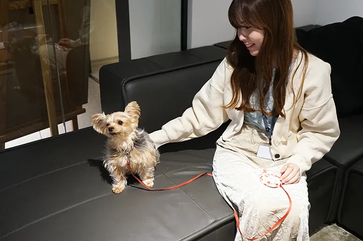 株式会社バイオフィリアの画像（撮影：grape編集部）