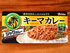 『ジャワカレー　＜キーマカレー　中辛＞』の写真（撮影：小泉明代）