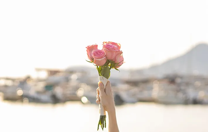 花の写真