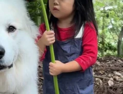 犬と女の子の写真