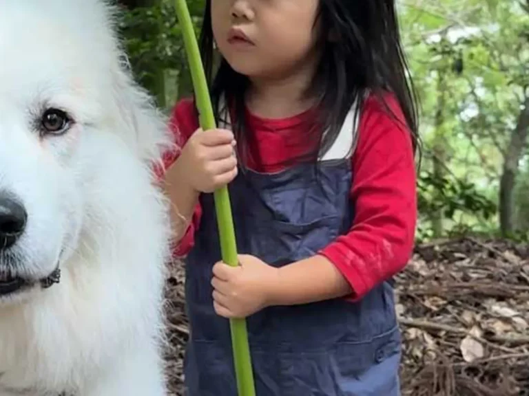 犬と女の子の写真