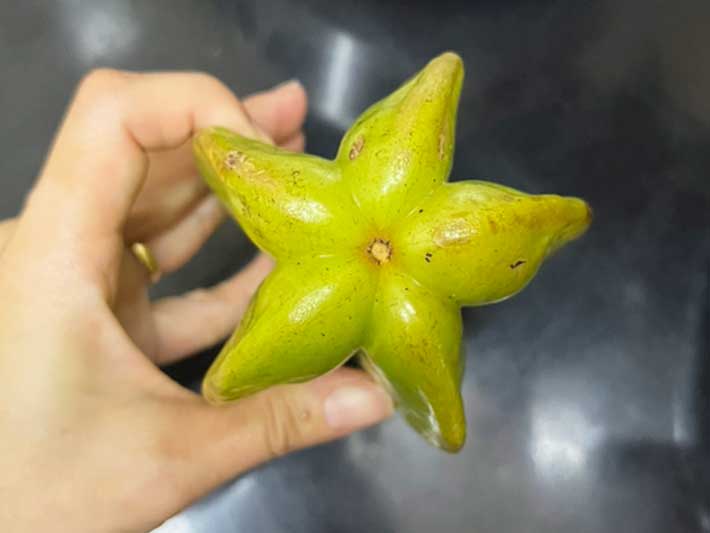 スターフルーツ（撮影：grape編集部）