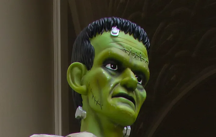 玄関に飾られたフランケンシュタインの写真