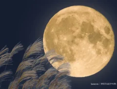 満月の画像