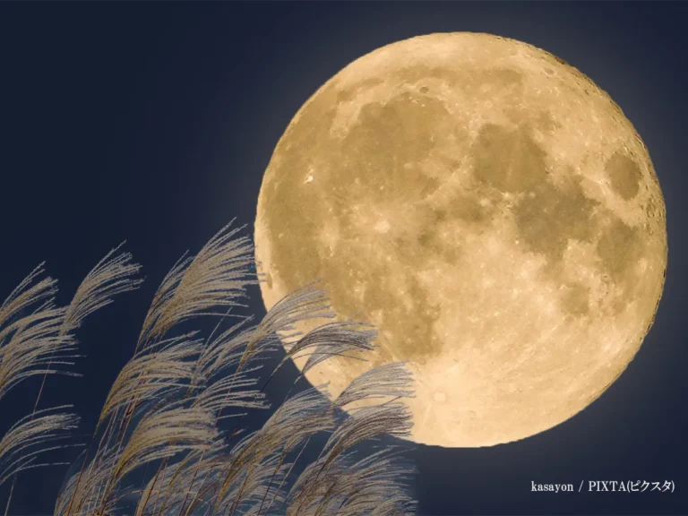 満月の画像