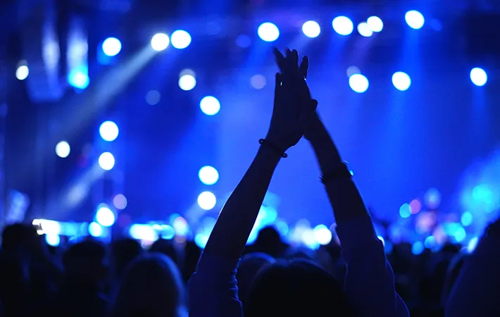 ライブで手を上げる人の写真